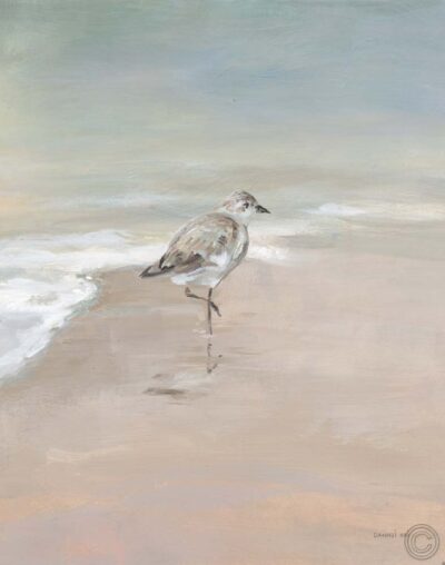 Shorebirds on the Sand II