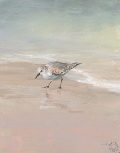 Shorebirds on the Sand III