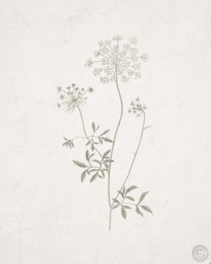 Regalos del prado III