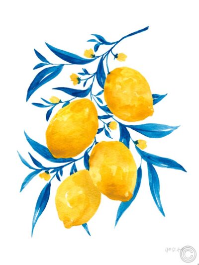 Limones de hoja azul I