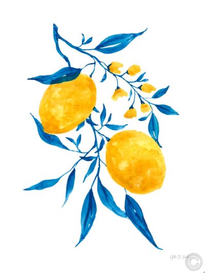 Limones de hoja azul II