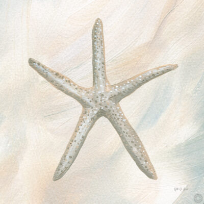 Estrella de mar II