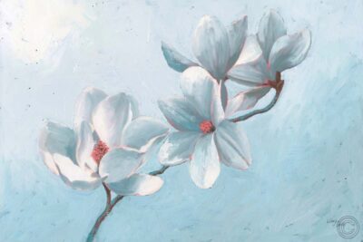 Tiempo de magnolia