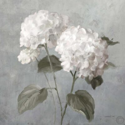 hortensias blancas